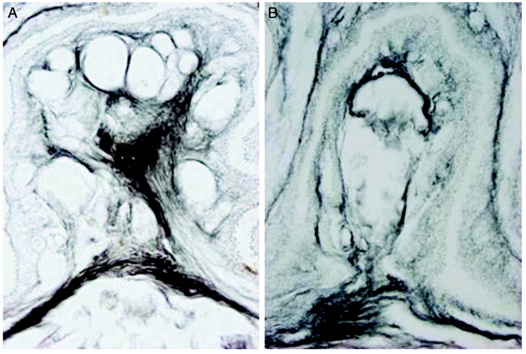 FIG. 7