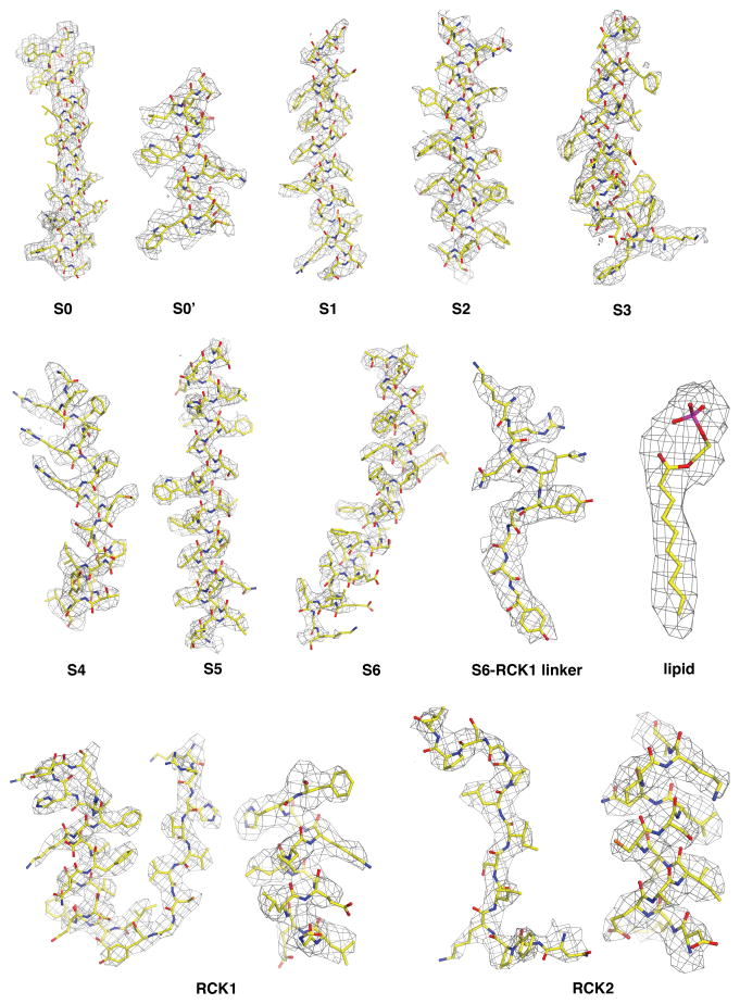 Extended Data Figure 4