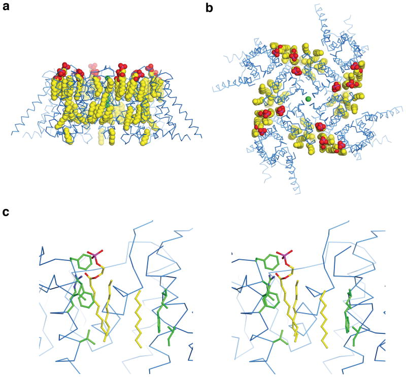 Extended Data Figure 6