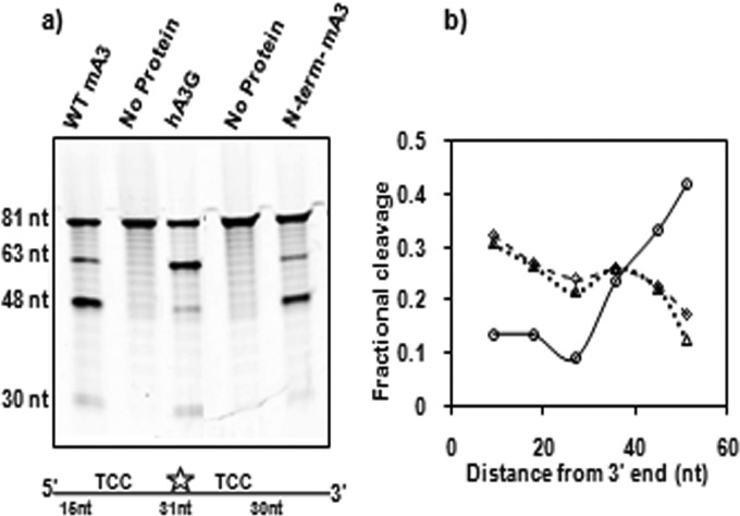 FIG 8