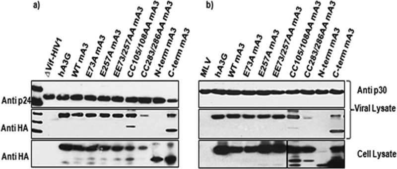 FIG 2