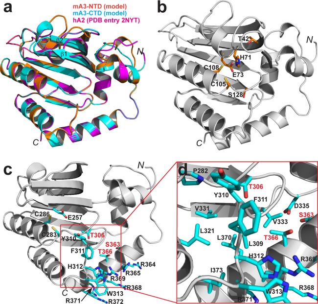 FIG 3