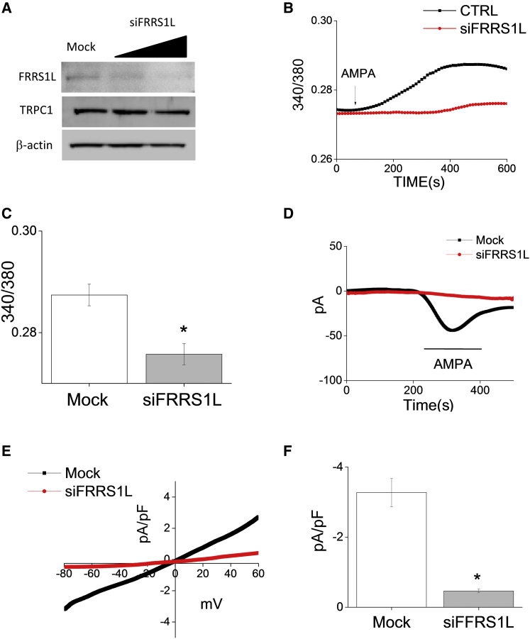 Figure 4