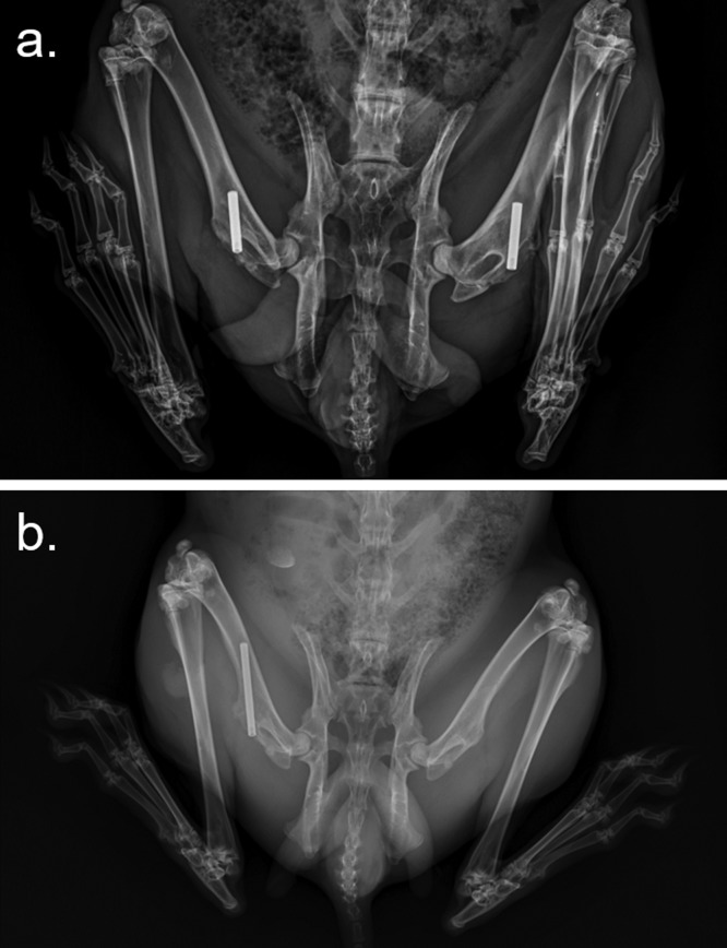 Figure 7