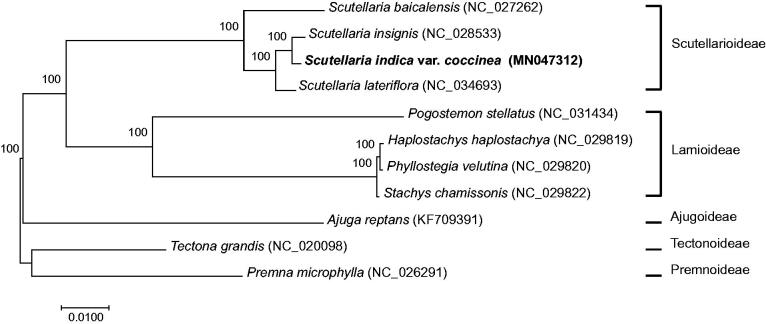 Figure 1.