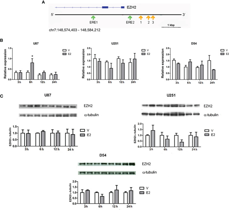 Figure 2