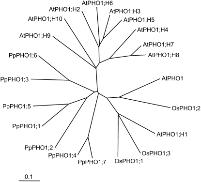 Figure 3.