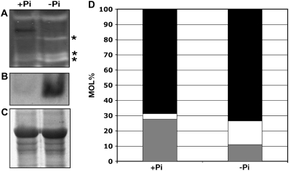 Figure 9.