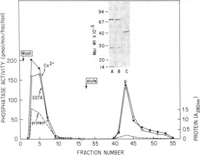 graphic file with name pnas00611-0120-a.jpg