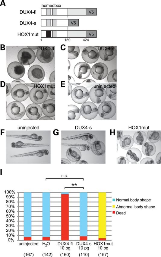 Figure 1.