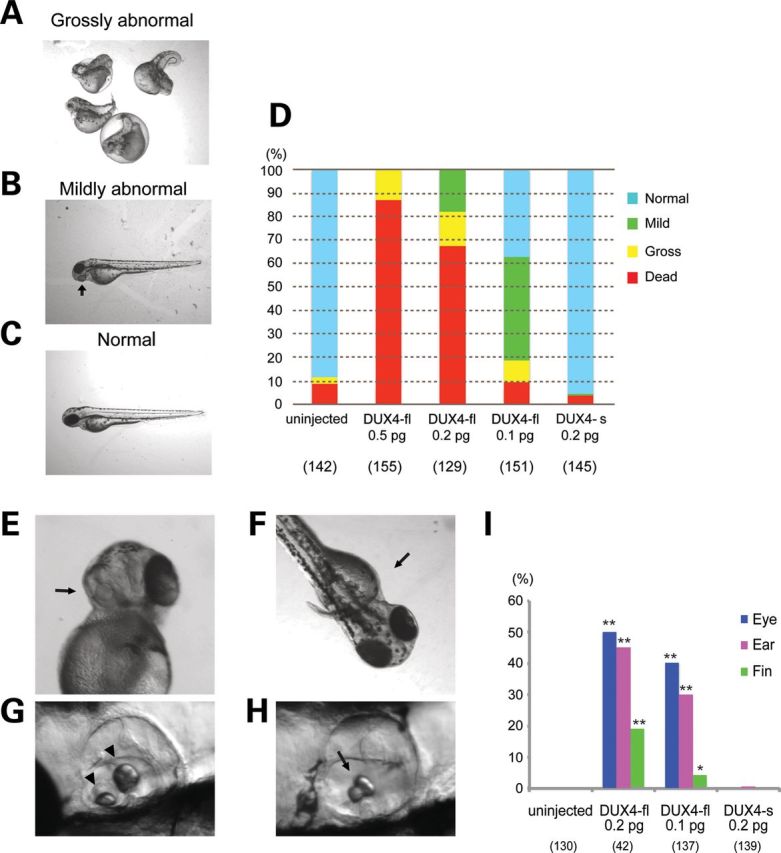 Figure 2.