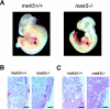 FIG. 2.