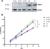 FIG 6