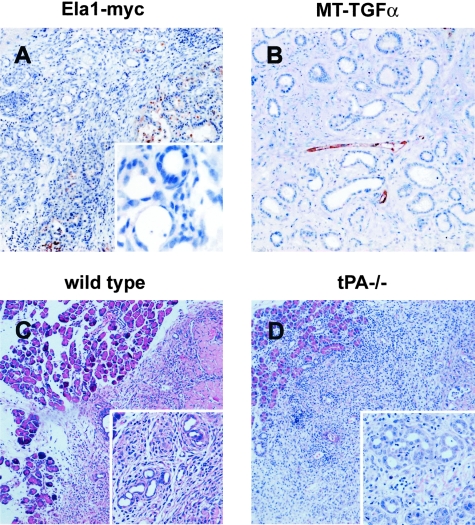 Figure 3-4244