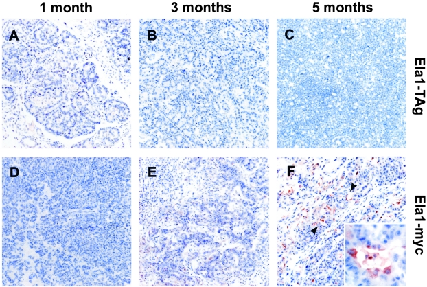 Figure 2-4244