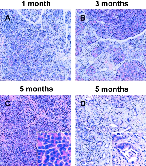 Figure 4-4244