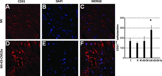 FIG. 6.