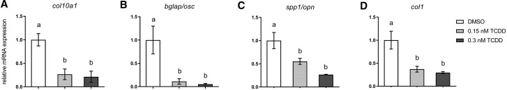 FIG. 6