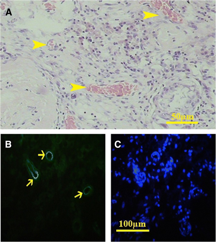 Fig. 9