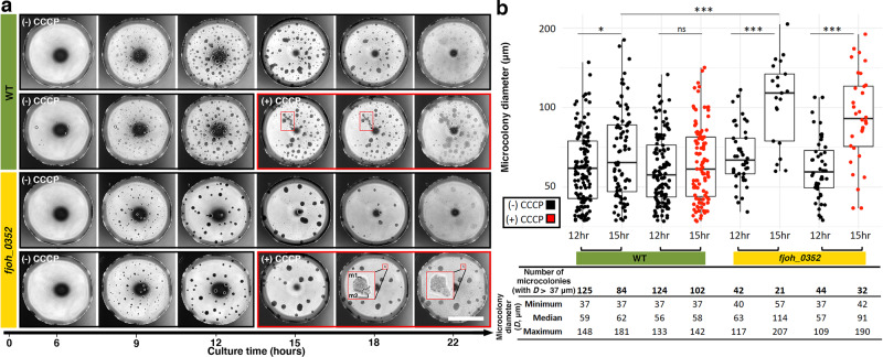 Fig. 3