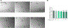 Fig 2.