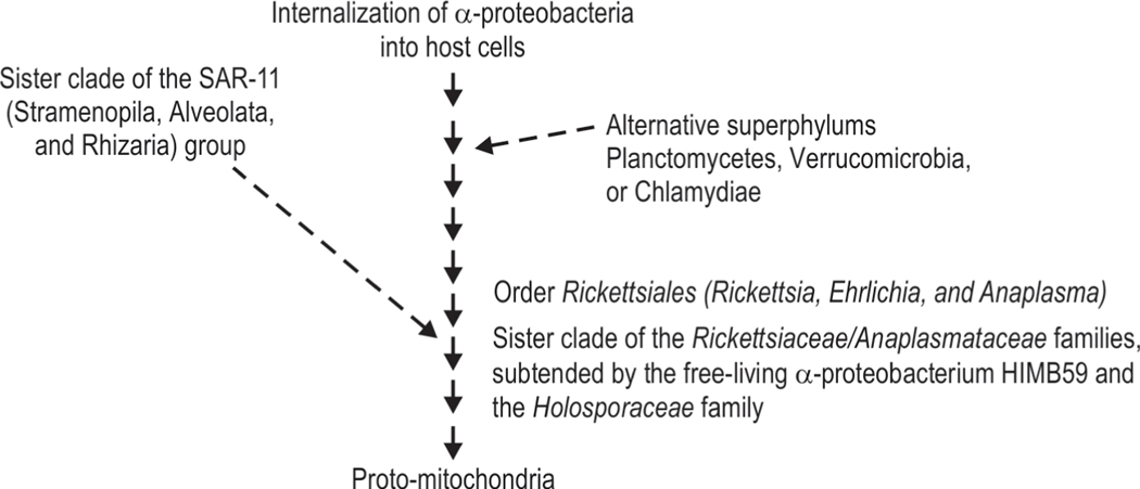 Fig. 6: