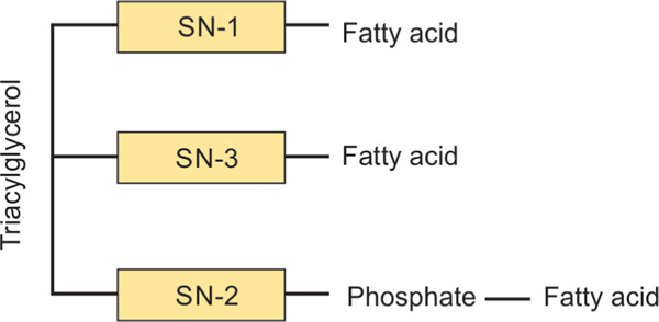 Fig. 10: