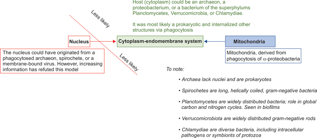 Fig. 8: