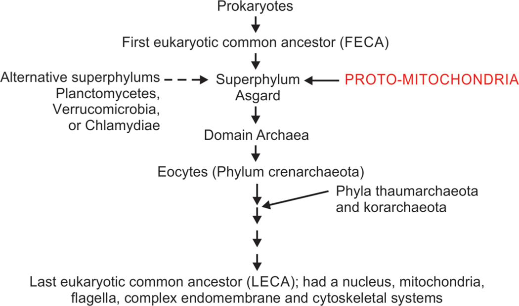 Fig. 7: