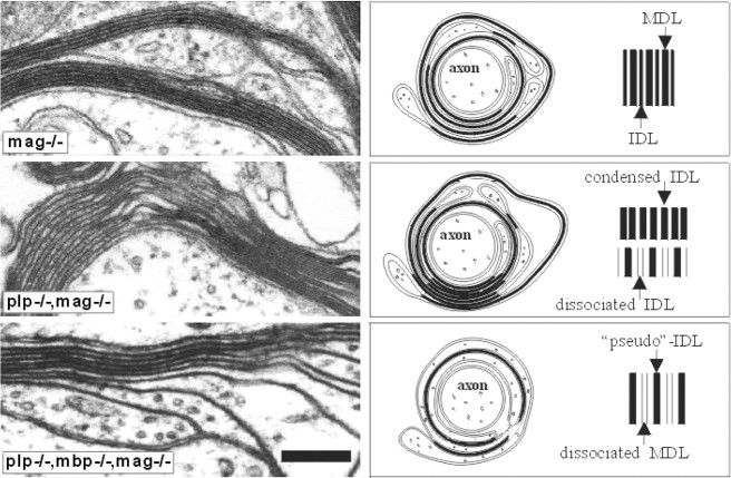 Fig. 3.