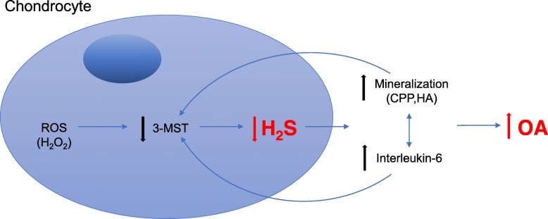 Fig. 5