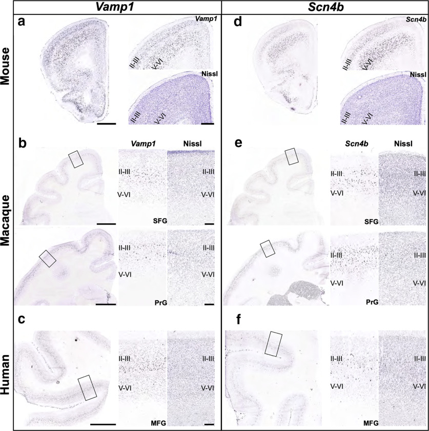 Figure 12.