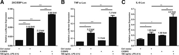 Figure 5