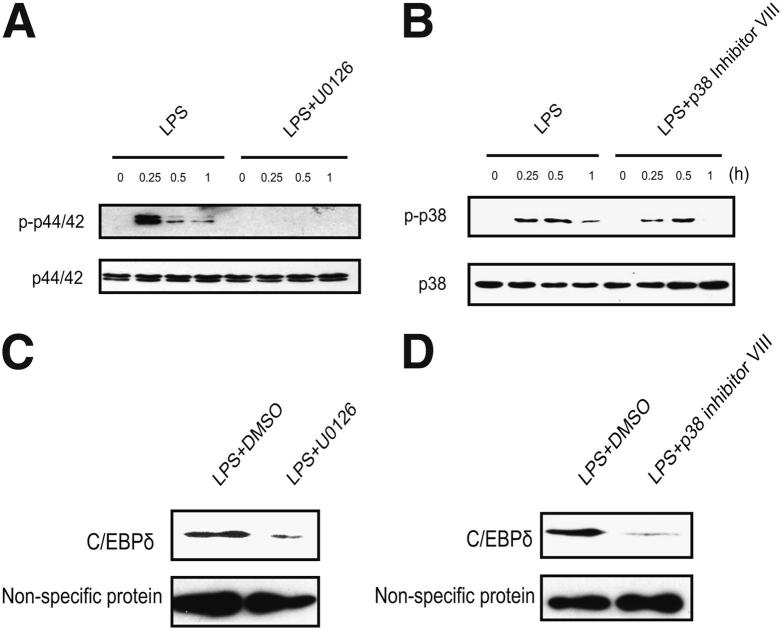 Figure 6