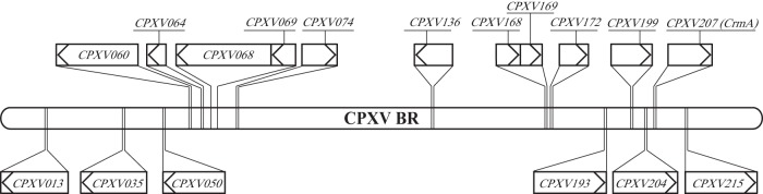 FIG 1