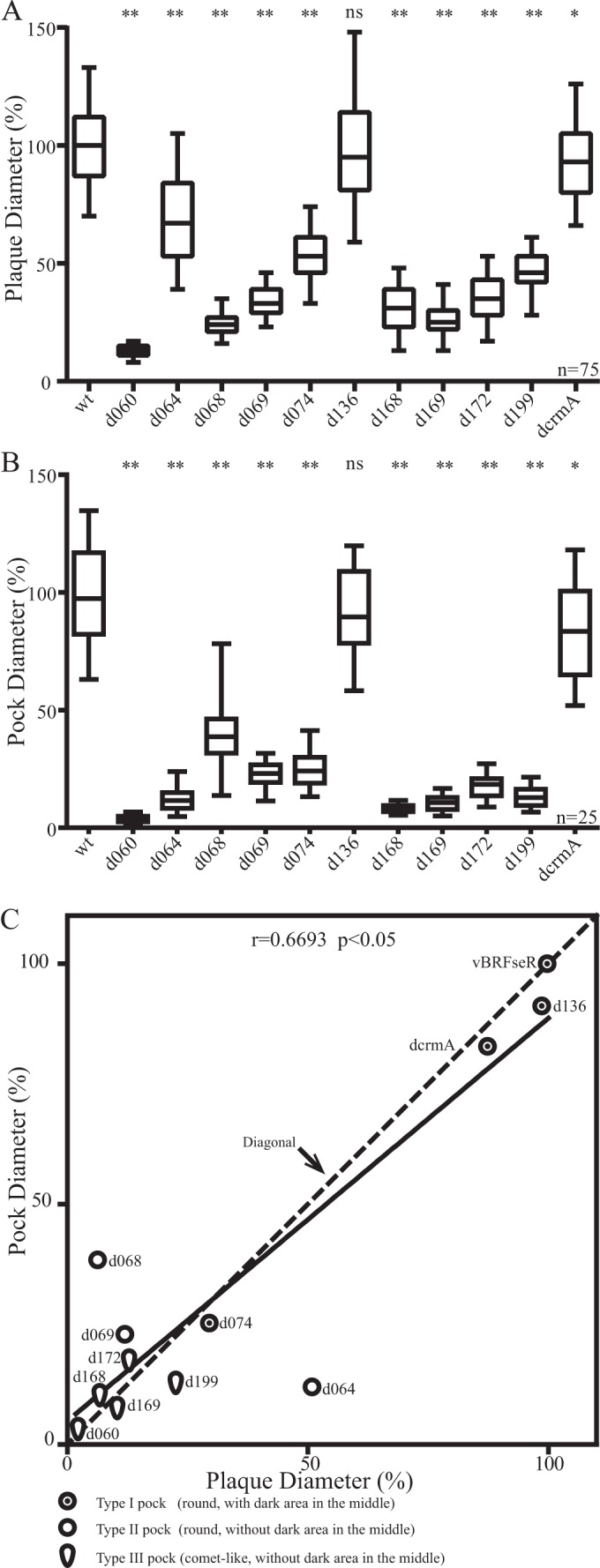 FIG 6