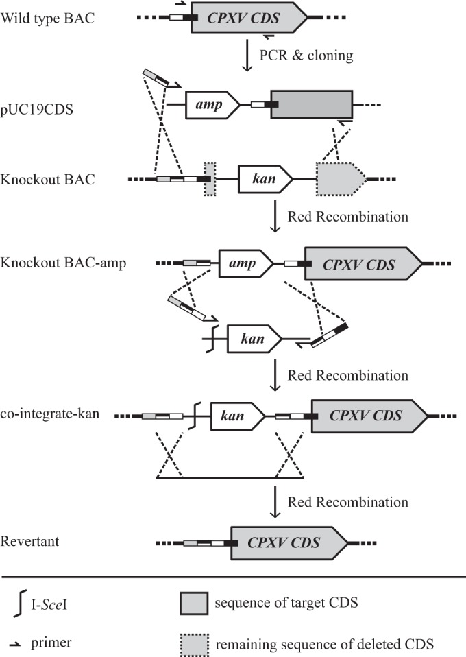 FIG 5