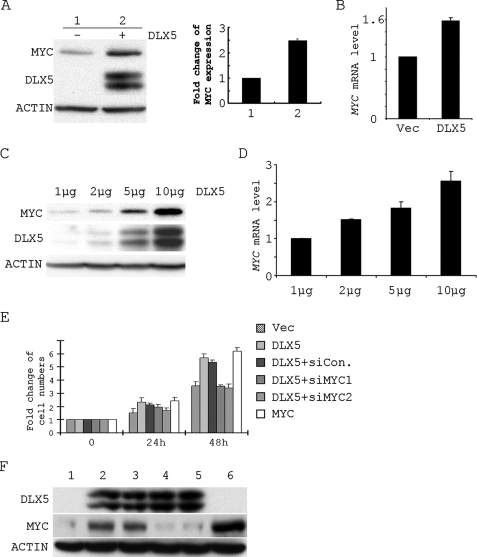 FIGURE 4.