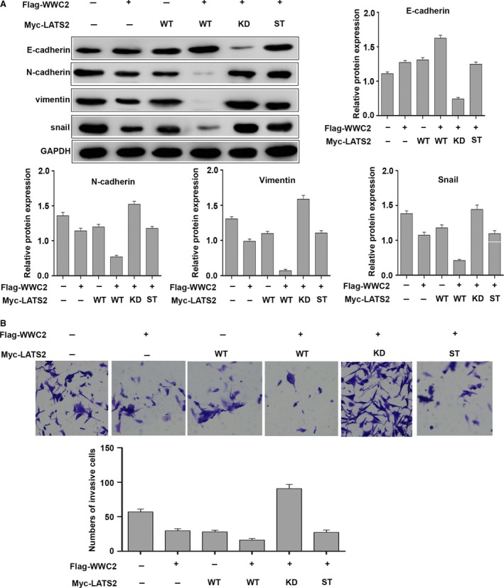 Figure 5