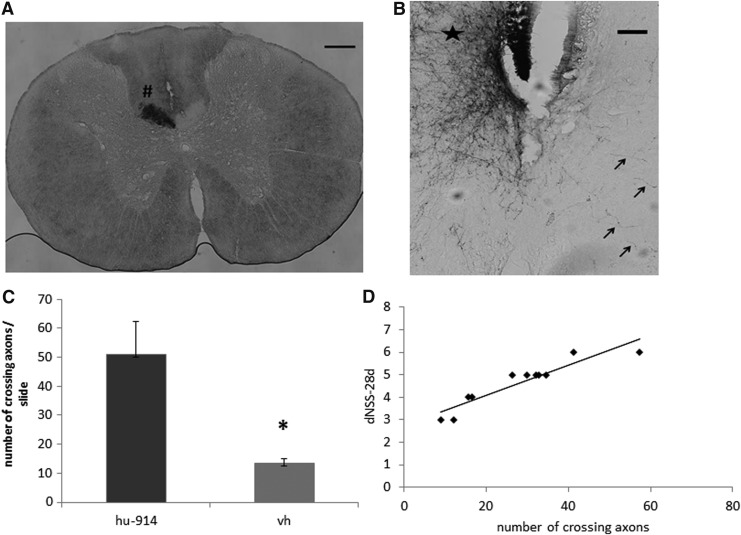 FIG. 8.