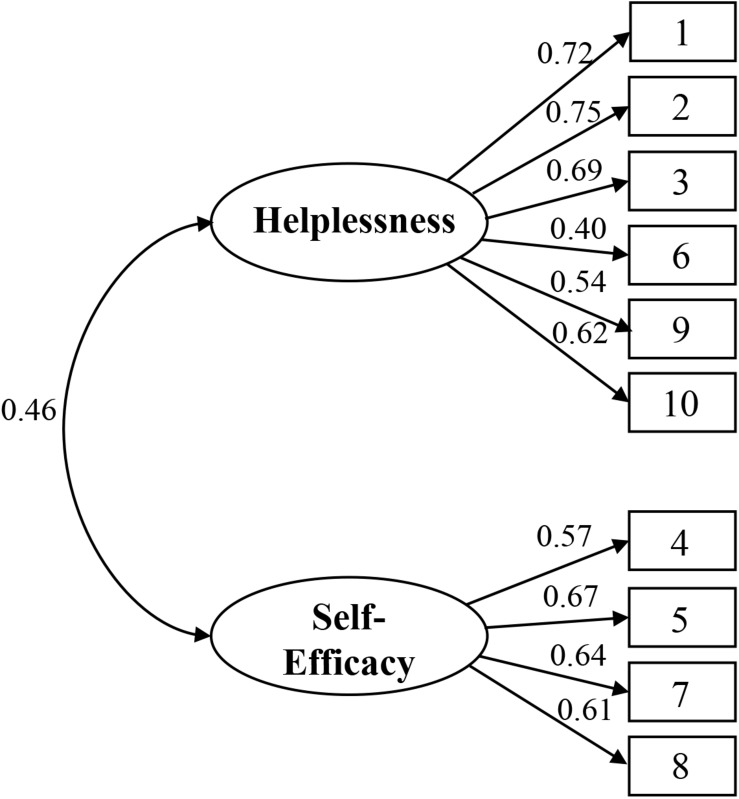 FIGURE 1