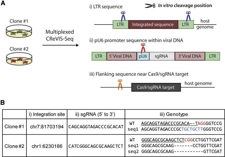 Figure 4