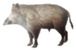 Inline graphic