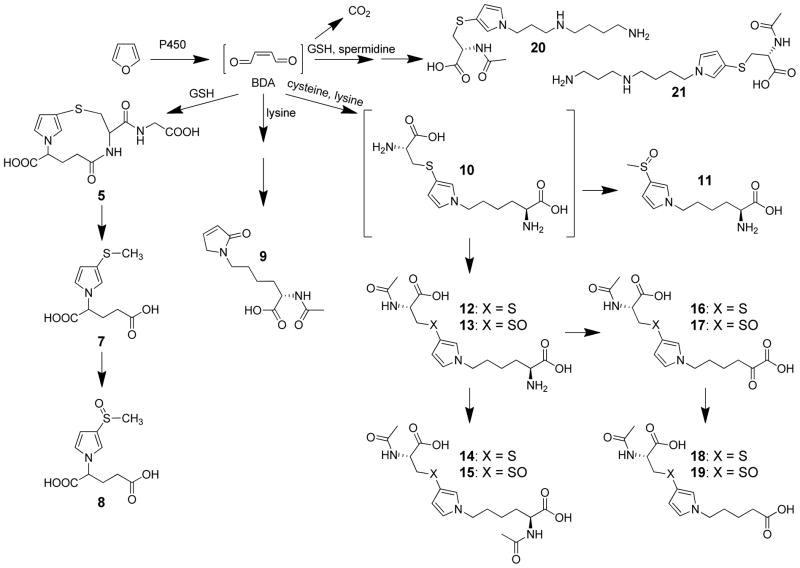 Scheme 3