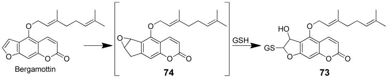 Scheme 17