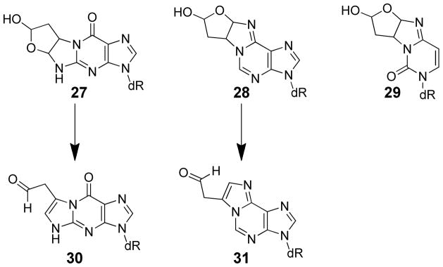 Scheme 5