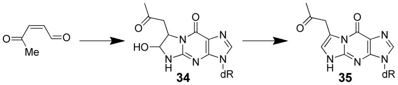 Scheme 7