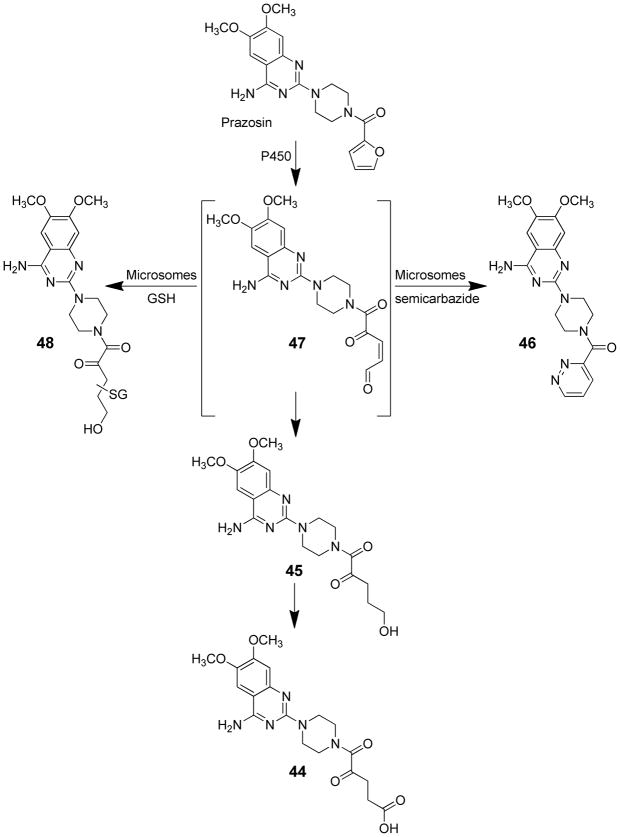 Scheme 10