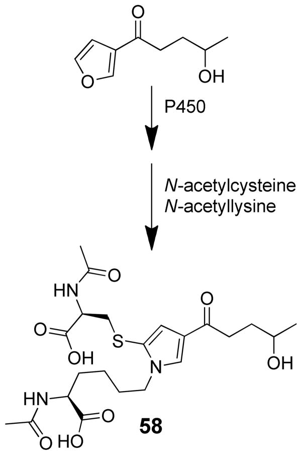 Scheme 13