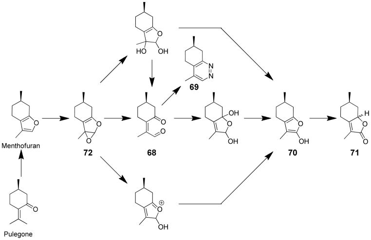 Scheme 16